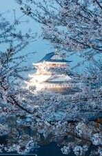 国产麻豆系列av-切勿沉迷系列，珍爱生活多彩