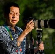绿帽人妻-绿帽人妻，情感纠葛中的道德与人性