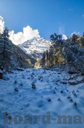 麻豆传媒短视频-麻豆传媒短视频，一种独特的文化现象及其社会影响